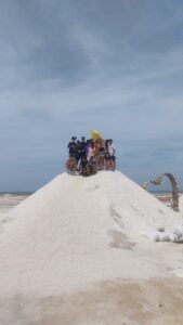 Salida Pedagógica La Guajira 8°